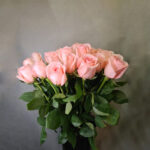 Ecuadori õrnroosa roos