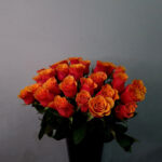 Hollandi oranž roos