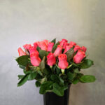 Hollandi korall roos