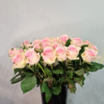 Hollandi roosa-roheline roos