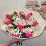 Kimp "Toscana's Lumous"