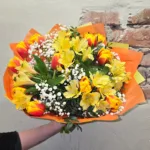 Kimp "Tallinna Päike"